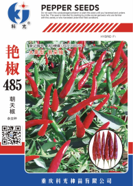 科光種苗“艷椒485”辣椒、“秋實(shí)1號”甘藍(lán)分別入選2025年農(nóng)業(yè)主導(dǎo)品種、農(nóng)作物優(yōu)良品種推廣目錄